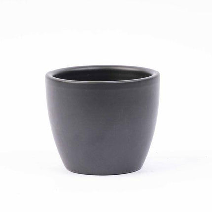 Zimmerpflanzen Set mit 6 tropischen Pflanzen + 6 Keramiktöpfe Boule Anthrazit – Modern, Industrial Stil – Kleine Zimmerpflanzen inklusive