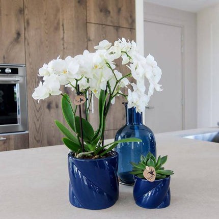 Dekotopf Candy – Blau – Ø6cm – Farbiger Keramik Blumentopf in glänzender Optik – Runde Form – Für Mini-Pflanzen & Orchideen