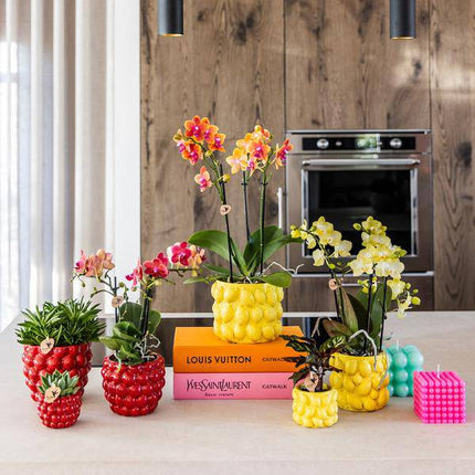 Blumentopf Beeren – Ø12cm – Roter Keramik Pflanztopf – Dekorativer Übertopf für Zimmerpflanzen – Stilvolle Keramik-Deko für Wohnzimmer & Büro