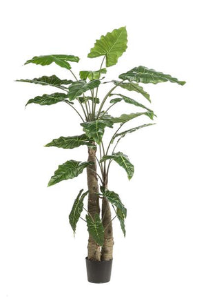 Kunstpflanze Alocasia ↕180cm – künstliche Grünpflanze für Wohnzimmer, Büro, Flur & pflegeleichte Deko