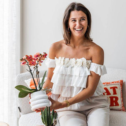 Phalaenopsis Orchidee Mineral Bolzano Orange – Zimmerpflanze mit 2–3 Zweigen – Inklusive Bubble Keramiktopf Weiß Ø9cm – Edle Orchidee für Wohnzimmer, Esszimmer & Büro