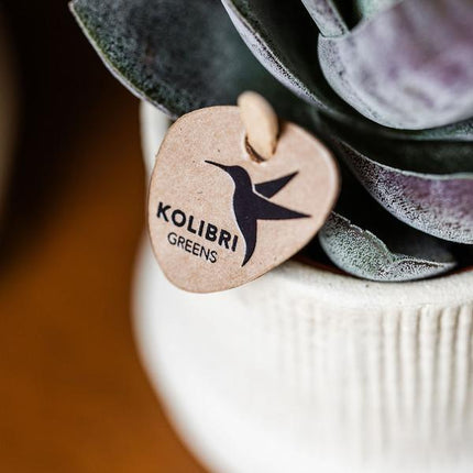 Bali Blumentopf Off White Ø9cm – Dekorativer Keramiktopf mit Rillenstruktur – Moderner Pflanzentopf im minimalistischen Design – Stilvolle Blumendeko für Wohnzimmer, Küche & Büro