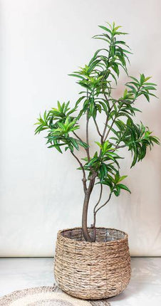Kunstpflanze Dracaena ↕190cm – künstliche Grünpflanze für Wohnzimmer, Büro, Flur & pflegeleichte Deko