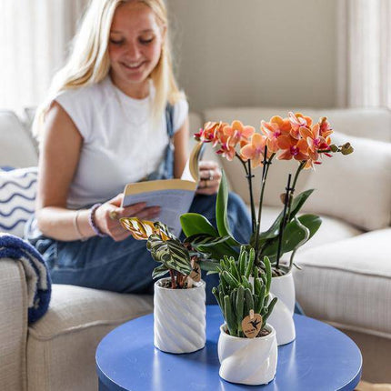 Dekotopf Candy Hoch – Weiß – Ø6cm – Eleganter Keramik Blumentopf in glänzender Optik – Hohe Form – Für Mini – Stilvolle Deko für Innenräume