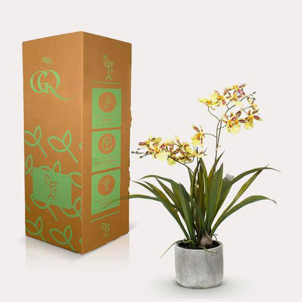 Künstliche Pflanze Orchidee – Gelb – Braun – 45cm – Täuschend echte Kunstorchidee im Topf – Dekoblume für Wohnzimmer, Schlafzimmer, Küche & Büro