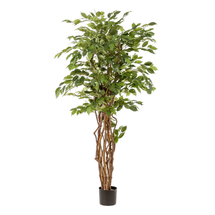 Ficus Liana – Künstliche Zimmerpflanze – ↕170cm – Realistische Stiefmütterchen – Pflanze – Dekoration für Wohnzimmer, Flur & Wintergarten