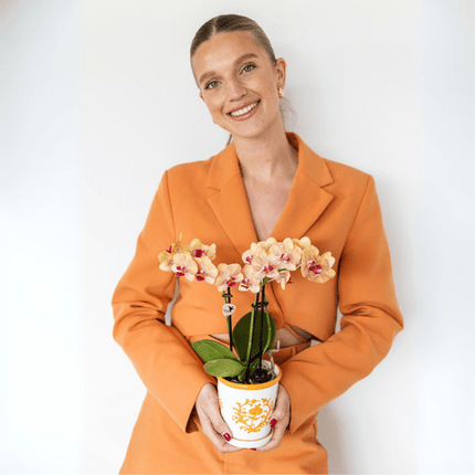 Malaga Blumentopf Orange Ø9cm – Dekorativer Keramiktopf in sommerlichem Design – Pflanzentopf für Zimmerpflanzen & Kräuter – Stilvolle Blumendeko für Wohnzimmer, Küche & Büro