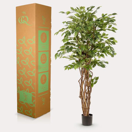 Ficus Liana – Künstliche Zimmerpflanze – ↕170cm – Realistische Stiefmütterchen – Pflanze – Dekoration für Wohnzimmer, Flur & Wintergarten