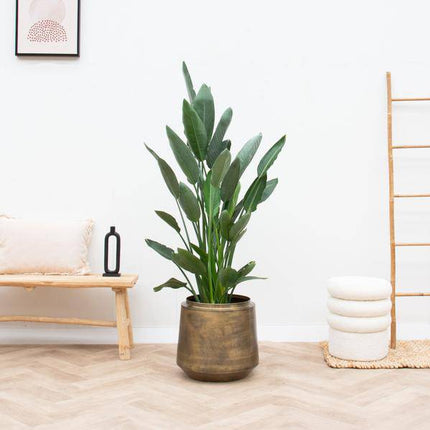 Pflanztopf Indigo Vintage Gold – D58cm x H51cm – Extra großer Blumentopf im Antik-Look – Dekorativer Pflanzkübel mit Wasserablauf – Für Wohnzimmer, Schlafzimmer & Büro