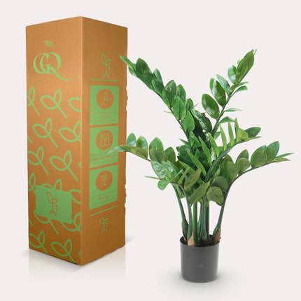Kunstpflanze Zamioculcas – Zimmerpalme – 70cm – Hochwertige künstliche Pflanze mit naturgetreuen Blättern – Immergrüne Dekopflanze für Wohnzimmer, Büro & Innenräume – Pflegefrei & langlebig
