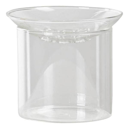 Vermehrungsvase S – Ø9cm x H8cm – Glas Vase zur Pflanzenvermehrung – Ideal für Samen, Nüsse, Blumenzwiebeln & Stecklinge – Lehrreich & dekorativ