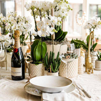 Diamant Perle Dekotopf – Sand – Ø9cm – Moderner Blumentopf in Steinoptik – Eleganter Dekotopf für Zimmerpflanzen, Sukkulenten & Kakteen – Stilvolles Wohnaccessoire