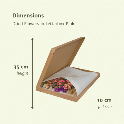 Trockenblumen im Briefkasten Rosa – Eleganter getrockneter Blumenstrauß – Sanfte Weiß-, Beige- & Hellrosa-Töne – Pflegefreie Deko – Perfekt für Innenräume