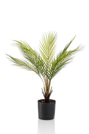 Kunstpflanze Chamaedorea Elegans – Bergpalme – 50cm – künstliche Mini – Palme mit naturgetreuen Fiederblättern – pflegefrei