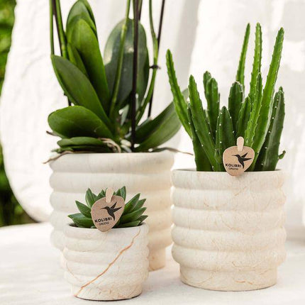 Dekotopf Marmor – Hell – Ø6cm – Eleganter Keramik Blumentopf in Marmoroptik – Zeitloses Design – Für Mini-Pflanzen, Sukkulenten & Kakteen