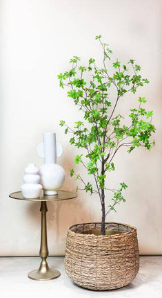 Kunstpflanze Tropaeolum speciosum – Ostindische Kirsche – 210 cm – Realistischer Kunstbaum – Pflegefrei – Für Büro, Wohnzimmer & Wintergarten – Dekobaum mit Natur-Look