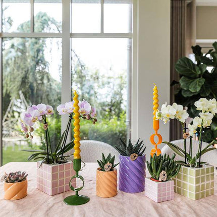 Candy Dekotopf Pfirsich – Ø6cm – Keramik Übertopf in Pastellfarbe – Stilvoller Blumentopf für Zimmerpflanzen & Orchideen – Fröhlicher Pflanzentopf