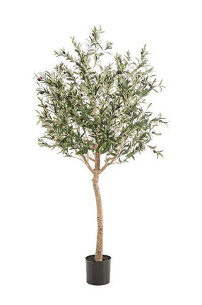 Kunstpflanze Olivenbaum – Olea Europaea – 180cm – Hochwertiger künstlicher Baum mit naturgetreuen Blättern & Oliven – Immergrüne Dekopflanze für Wohnzimmer, Wintergarten & Büro – Pflegefrei & langlebig