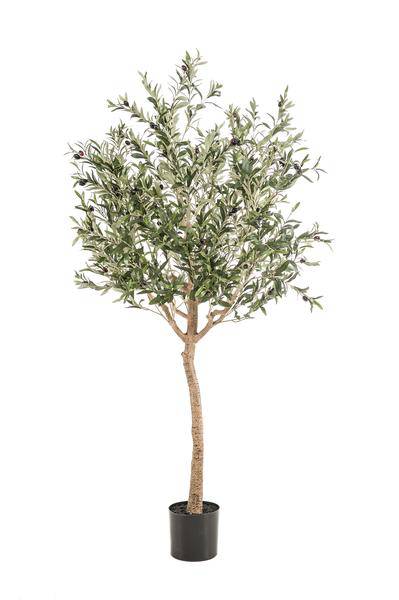 Kunstpflanze Olivenbaum – Olea Europaea – 180cm – Hochwertiger künstlicher Baum mit naturgetreuen Blättern & Oliven – Immergrüne Dekopflanze für Wohnzimmer, Wintergarten & Büro – Pflegefrei & langlebig