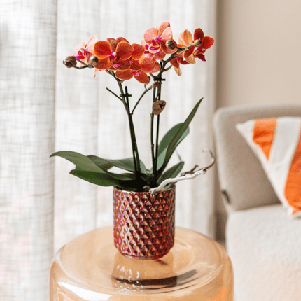 Diamant Perle Dekotopf – Rot – Ø6cm – Hochwertiger Keramik Blumentopf mit edlem Glanz – Dekorativer Pflanztopf im modernen Design – Luxuriöser Übertopf für Zimmerpflanzen & Deko