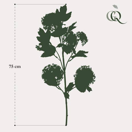 Kunstpflanze Künstliche Viburnum Opulus Zweige Creme 75cm 4er – Set Realistische Kunstb ↕75cm – künstliche Grünpflanze für Wohnzimmer, Büro, Flur