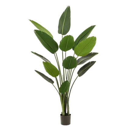 Kunstpflanze Strelitzia Nicolai – Paradiesvogelblume – 190cm – Hochwertige künstliche Pflanze mit großen naturgetreuen Blättern – Immergrüne Dekopflanze für Wohnzimmer, Büro & Innenräume – Pflegefrei & langlebig