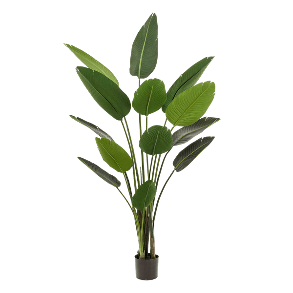 Kunstpflanze Strelitzia Nicolai – Paradiesvogelblume – 190cm – Hochwertige künstliche Pflanze mit großen naturgetreuen Blättern – Immergrüne Dekopflanze für Wohnzimmer, Büro & Innenräume – Pflegefrei & langlebig