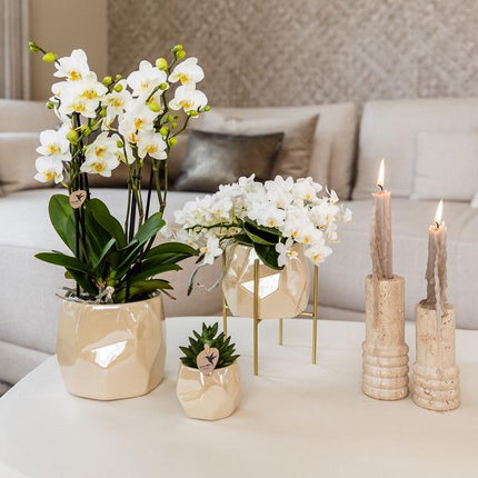 Pearl Blumentopf glänzend in Blau, Grün, Rosa oder Travertin – Eleganter Übertopf Ø6cm Ø9cm Ø12cm – Pflanzgefäß für Zimmerpflanzen & Deko