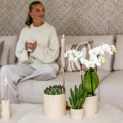 Diamant Perle Dekotopf – Travertin – Ø6cm – Moderner Blumentopf in Steinoptik – Eleganter Dekotopf für Zimmerpflanzen, Kakteen & Sukkulenten – Stilvolles Wohnaccessoire