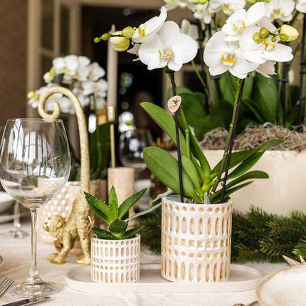 Mosaik Ziertopf – Ø9cm – Eleganter Blumentopf mit goldenen Mosaikdetails – Pflanztopf für Sukkulenten & kleine Pflanzen