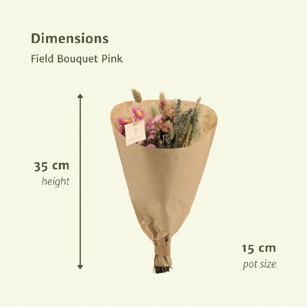 Trockenblumen Feldblumenstrauß Rosa Ø15cm ↕35cm – dekorativer Trockenblumenstrauß für Vase, Tischdeko, Wohnzimmer & Geschenkidee