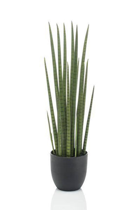 Kunstpflanze Sansevieria Cylindrica – Frauenzunge 70cm – Täuschend echt & pflegefrei – Dekorative Kunst-Zimmerpflanze für Wohnung & Büro – Nachhaltig & langlebig