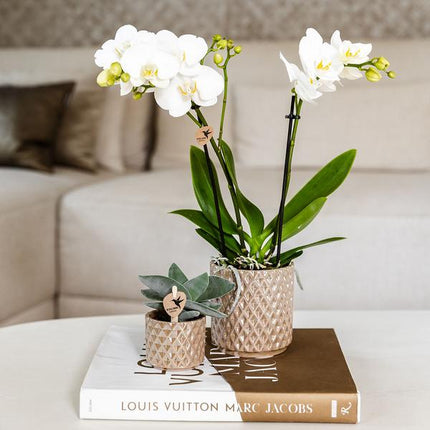 Diamant Perle Dekotopf – Sand – Ø9cm – Moderner Blumentopf in Steinoptik – Eleganter Dekotopf für Zimmerpflanzen, Sukkulenten & Kakteen – Stilvolles Wohnaccessoire