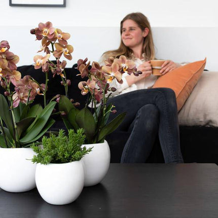Blumentopf Bowl – Weiß – Keramik – Ziertopf Ø9cm – Handgefertigter Übertopf mit Wellenrand – Für Zimmerpflanzen & Sukkulenten