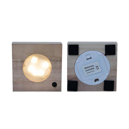 Calathea Hydroponie – Mischung im Samoa Glas mit LED Beleuchtung Zimmerpflanze Ø12cm ↕10cm – pflegeleichte Grünpflanze für Wohnzimmer, Büro