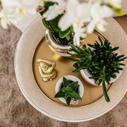 Le Chic Blumentopf – Weißer Keramiktopf mit goldenen Details – Ø9cm – Eleganter Ziertopf für Orchideen & Grünpflanzen – Stilvoller Deko-Übertopf