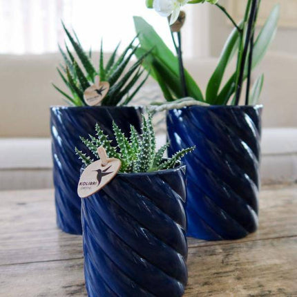 Candy Dekotopf – Hoch – Blau – Ø6cm – Keramik Übertopf in Pastellblau – Stilvoller Blumentopf für Mini – Orchideen & Zimmerpflanzen – Pflanzentopf