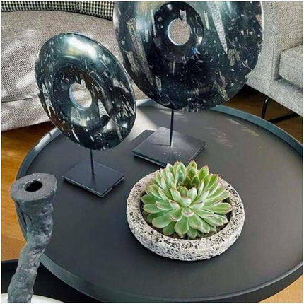 Sukkulente – Echeveria pulidonis Rootless – Ø20cm Schale „Concrete“ – Zimmerpflanze ohne Wurzeln – Pflegeleichte Schnitt-Sukkulente als Deko für Zuhause & Feste