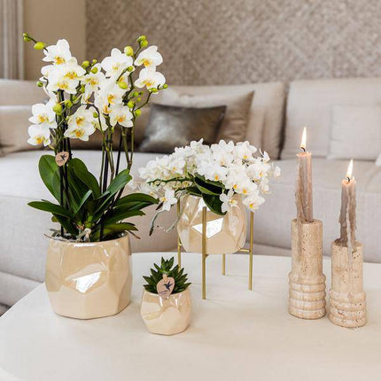 Kombi-Angebot Perlen Travertin Töpfe – 3er-Set Ø6/9/12 cm – stilvolle Keramik-Pflanzgefäße für Orchideen, Sukkulenten & Zimmerpflanzen