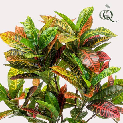 Kunstpflanze Croton Codiaeum – Wunderstrauch – 120cm – Hochwertige künstliche Pflanze mit bunt gefärbten Blättern & Holzstamm – Immergrüne Dekopflanze für Wohnzimmer, Büro & Innenräume – Pflegefrei & langlebig