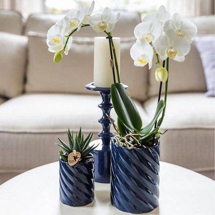Candy Dekotopf – Hoch – Blau – Ø9cm – Moderner Keramiktopf in kräftigen Farben – Stilvoller Pflanzentopf für Zimmerpflanzen, Orchideen & Sukkulenten