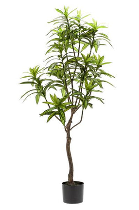 Kunstpflanze Dracaena ↕130cm – künstliche Grünpflanze für Wohnzimmer, Büro, Flur & pflegeleichte Deko