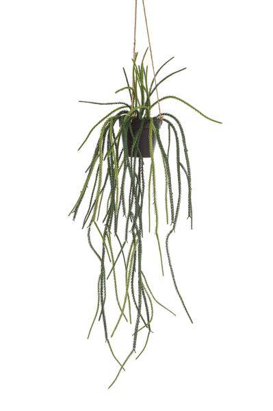 Kunstpflanze Rhipsalis – Korallenkaktus – 85cm – Hochwertige künstliche Hängepflanze ohne Stacheln – Immergrüne Dekopflanze für Wohnzimmer, Büro & Innenräume – Pflegefrei & langlebig