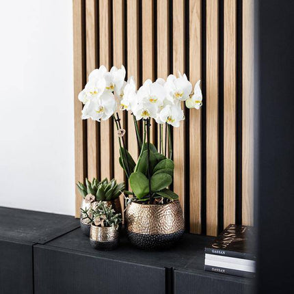 Keramik Blumentopf Kupfer – Pflanztopf Ø12cm – Übertopf glänzend für Zimmerpflanzen, Wohnzimmer, Küche, Büro & Innenräume