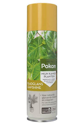 Pokon Blattglanz Spray – 250 ml – Für Zimmerpflanzen wie Ficus und Monstera – Staubentferner & natürlicher Pflanzenglanz