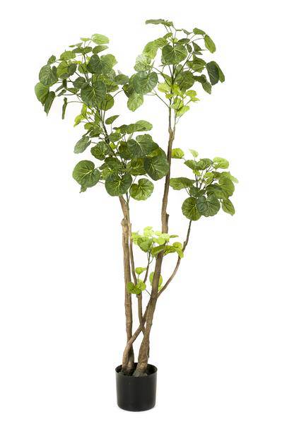 Kunstpflanze Polyscias Aralia ↕135cm – künstliche Grünpflanze für Wohnzimmer, Büro, Flur & pflegeleichte Deko