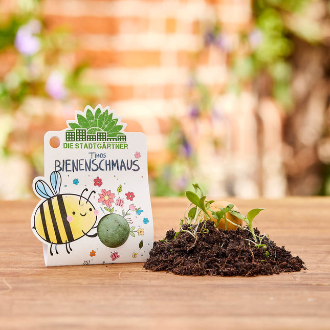 1 Blumenmurmel "Timos Bienenschmaus"