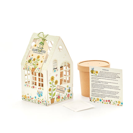 Gewächshäuschen "Timos Blumengarten" – BIO-Sonnenblumen