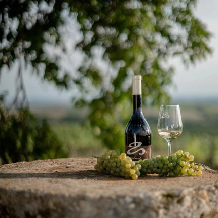 SEO. Tokaji Furmint Betsek 2018 - Weißwein trocken aus Ungarn - Linkreich