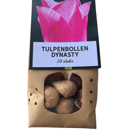 Tulpenzwiebeln 'Dynasty' – 20 Blumenzwiebeln – Frühlingsblumen für Beet & Topf – Pflegeleicht & winterhart – Hochwertige Blumenzwiebeln (Plant) kaufen bei Linkreich – Jetzt entdecken!